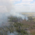 В 32 километрах от Гарей горит лес. Фото: пресс-служба управления МЧС России по Свердловской области.