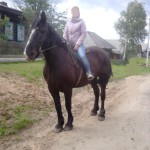Эту лошадь пропала в Романово.  Фото: серовская газета "Глобус".