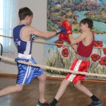 Подрастающие сосьвинские боксеры выступили на турнире "Забияка" в Серове. Фото: группа «Тренировки по боксу в п. Сосьва» в социальной сети «Вконтакте»